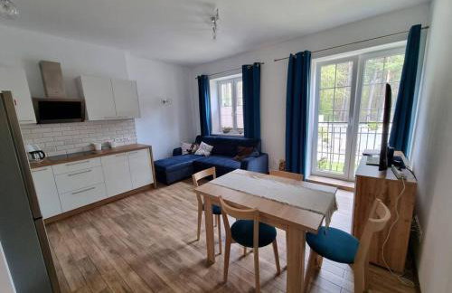 Uroczy apartament blisko jeziora - Foto 1