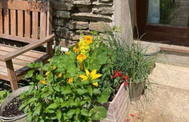 The Barn Yr Ysgubor - Photo 12