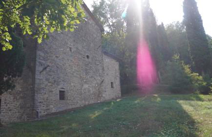 Poggio dell'Esca - Photo 30