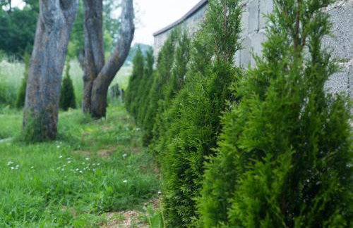 Kuća za odmor Marija - Foto 19