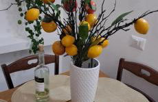 Apartament Gabbiano Bianco - Foto 13