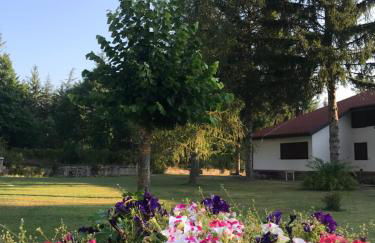 Chalet dell'Orso - Foto 15