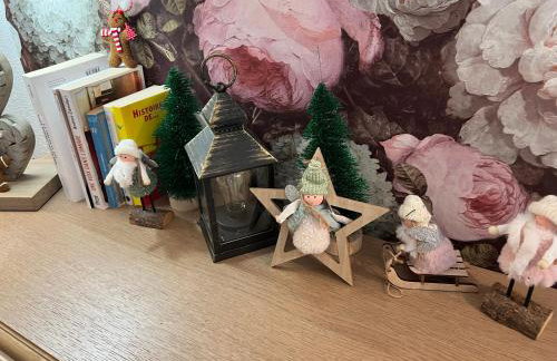 Petit cocon cosy proche place Stanislas - Foto 76