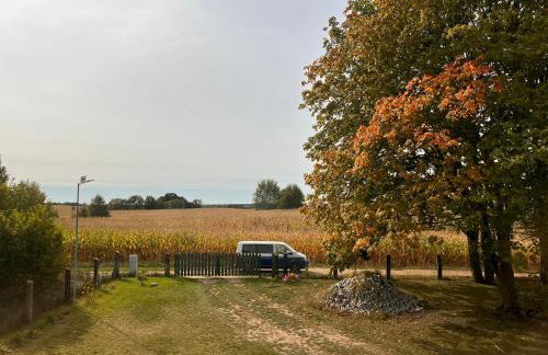 Brzozowy Zakątek - Foto 39