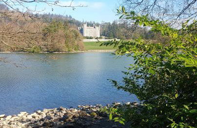 Whitehill Cottage - Photo 21