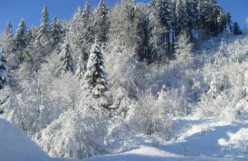 Gästehaus Bündge - Foto 26