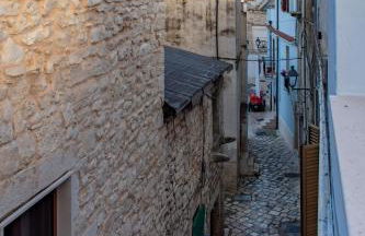 Rosa azzurra - Foto 51