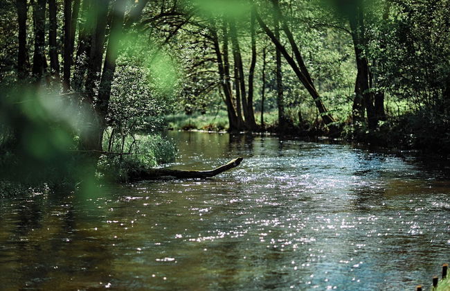 Siedlisko Milachowo luxury wellness - Photo 67