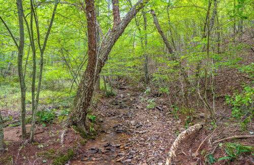 Trailblazer Lodge - Upscale, hot tub, trail, game room, wifi, fire pit, bar, pool table, king bed, view, pet friendly - Photo 49