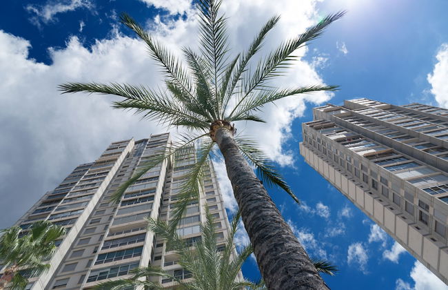 Apartamentos Gemelos Beninter - Foto 25