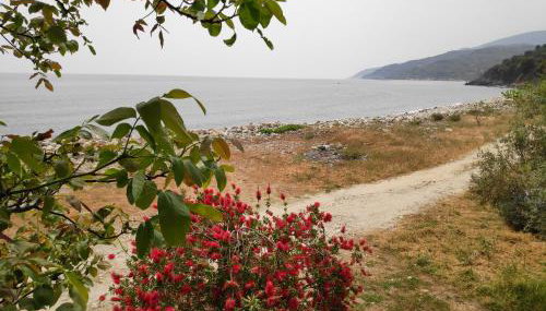 Lemongarden by the sea - Foto 2