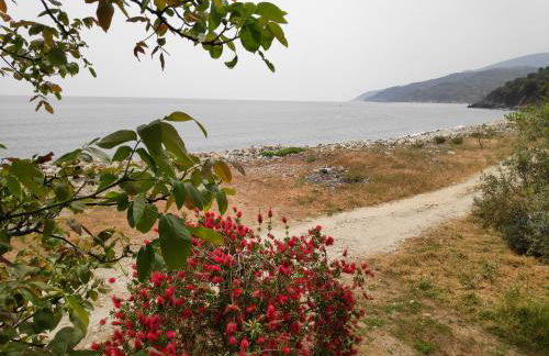 Lemongarden by the sea - Foto 2