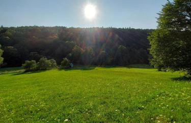 W dolinie Huty - Foto 24