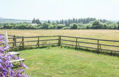 View The Gallery - Foto 20