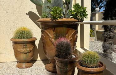 Logement cosy avec piscine ,parking et jardin - Photo 16