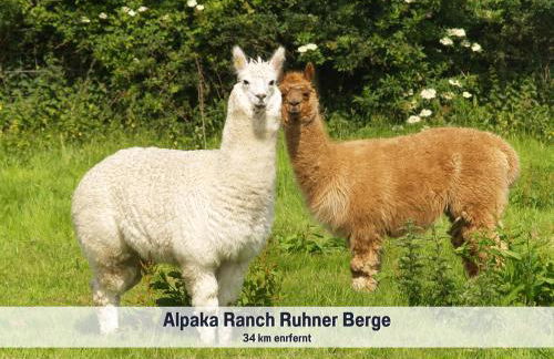 Wohlfühlparadies Moritz, Stuer - Strandnah am Plauer See mit Wlan und Parkplatz - Foto 40