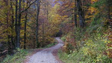 Ferienwohnungen Reiss - Foto 4