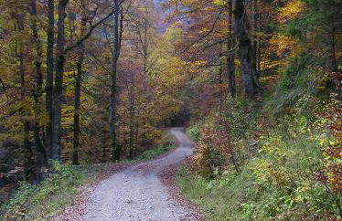 Ferienwohnungen Reiss - Foto 4