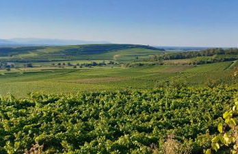 Ferienwohnung vino9 - Foto 24