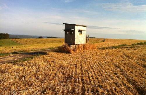 Holiday Home Moselle With Private Sauna - Foto 30