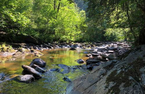 Apartment Am Fluss im Haus An der Rur - Foto 28