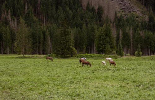 Residence Fontanazzo - Foto 71