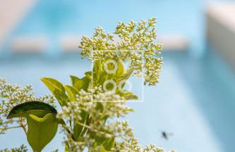 Flamenco Garden, design apt, heated pool, at La Finca Golf Resort - By Oyoostays - Foto 23