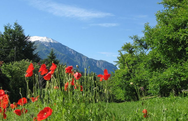 Casa Povo Vicino FBK e Università - Foto 16