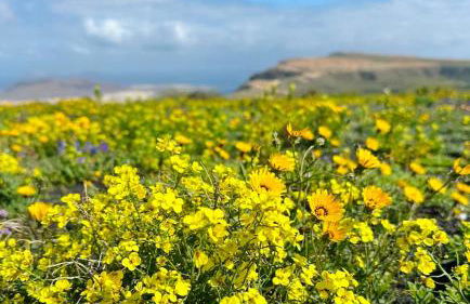 Villa ATLANTIS urlaubsfeeling mit solarbeheiztem Pool - Photo 39