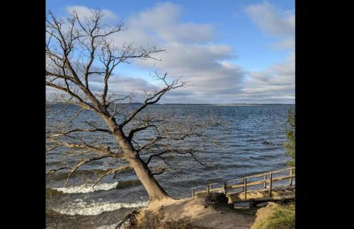 Chalet in Wendorf - Photo 27