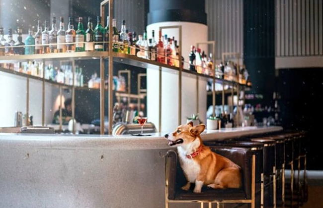 Hotel Monville - Foto 43