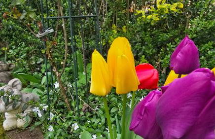 Ferienwohnung Olivenblick Bad Honnef - Foto 45