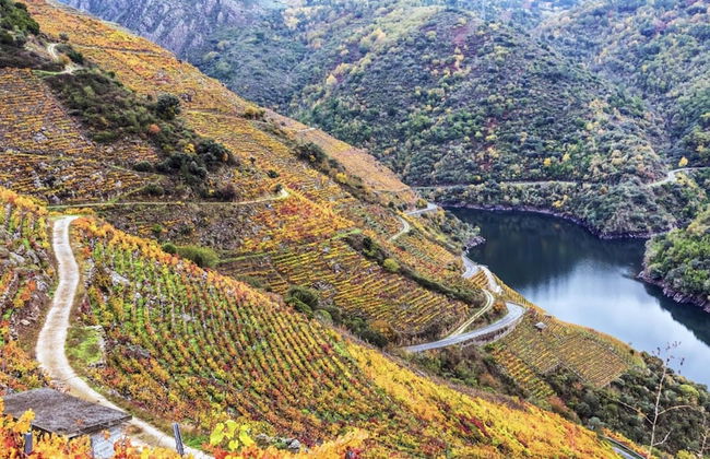 Apartment in Ourense Near City Center - Photo 25