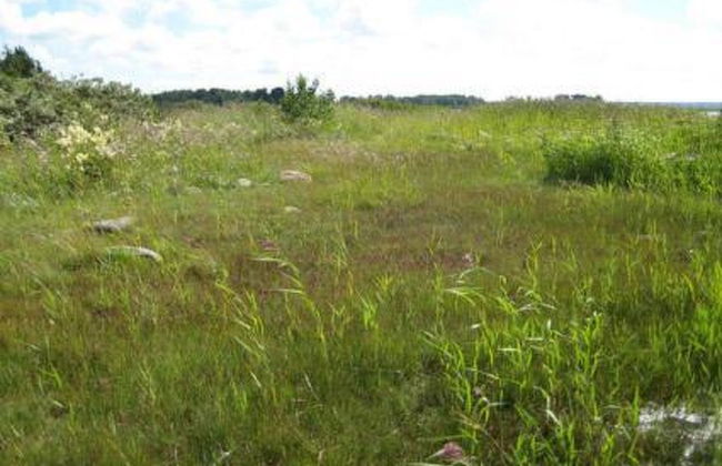 Soukonranta - Foto 33