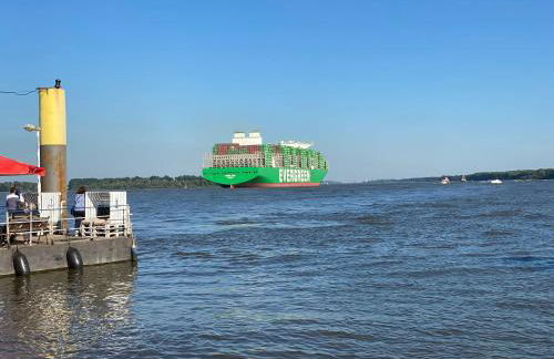 Ferienhaus Elbdiek - Photo 48