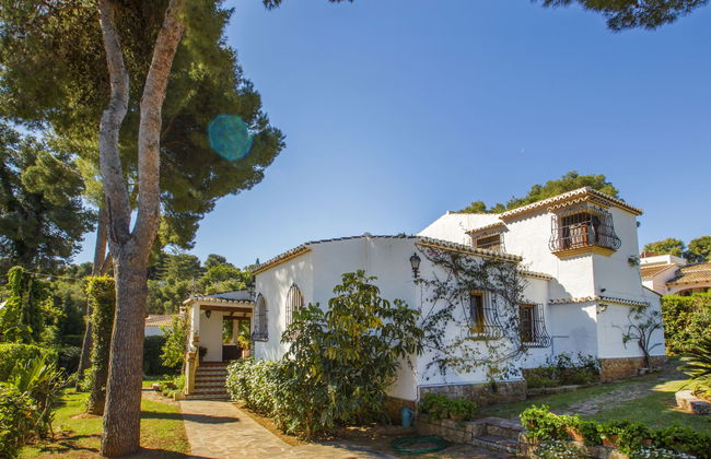 Mirlo Canta - Foto 34