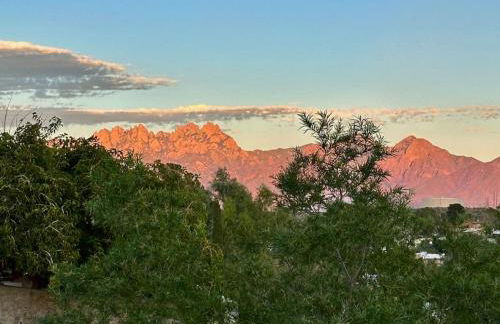 3.2 near University and Memorial Hospital - Photo 24