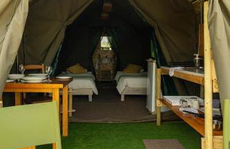 Safari Glamping Portugal Koi Fish - Foto 30