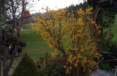 Haus Biggi - Ferienwohnung Säntis - Photo 15