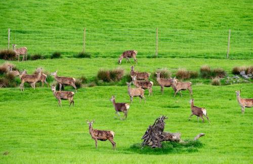 2 Bed in Bonnybridge oc-90602 - Foto 11