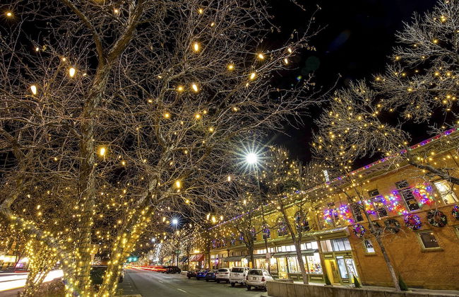 Old Town Swank - Brand New to Brewery District! - Foto 29