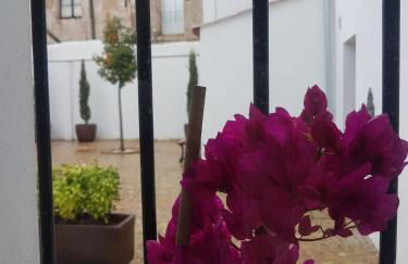 Casa Palacio Muñoz Chaves - Foto 20