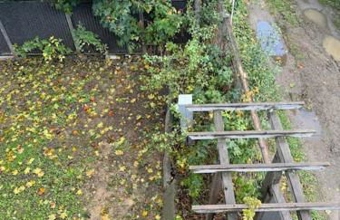 Mayor's Lake and Ski Suite - Foto 10