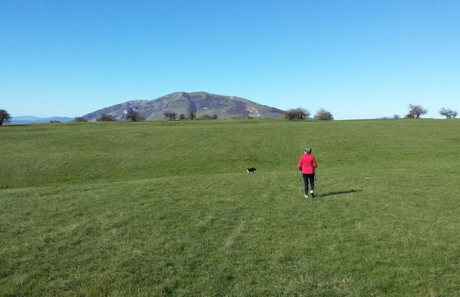 Agriturismo Ca' le Suore - Foto 36