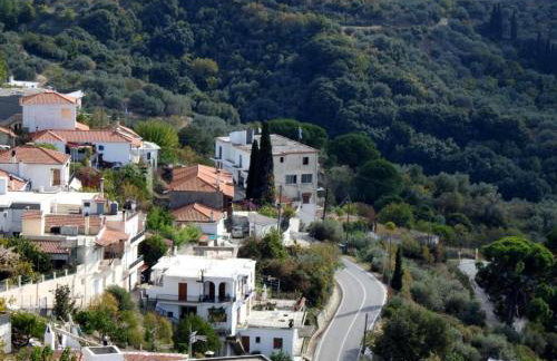 Dimitra's House - Foto 24