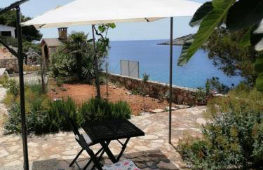 House Dragi - Foto 17