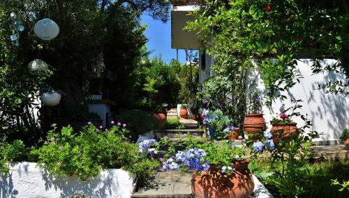 Sonia's House with Garden - Foto 4, Garden, Garden view