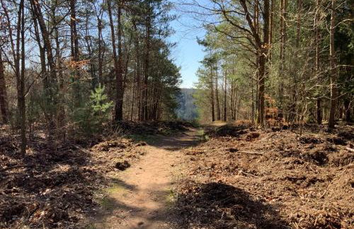 Hen-Coop Inn Appartement mit zwei Schlafzimmern & Netflix - Photo 31