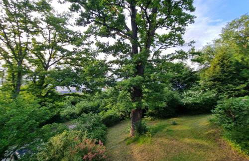 FlamingoSuite in Seenähe - Foto 41