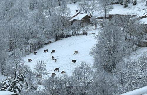 Casa Rural Pirineu Nevà - Foto 44